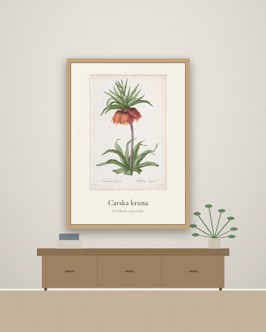 Carska kruna – botanički poster – na zidu
