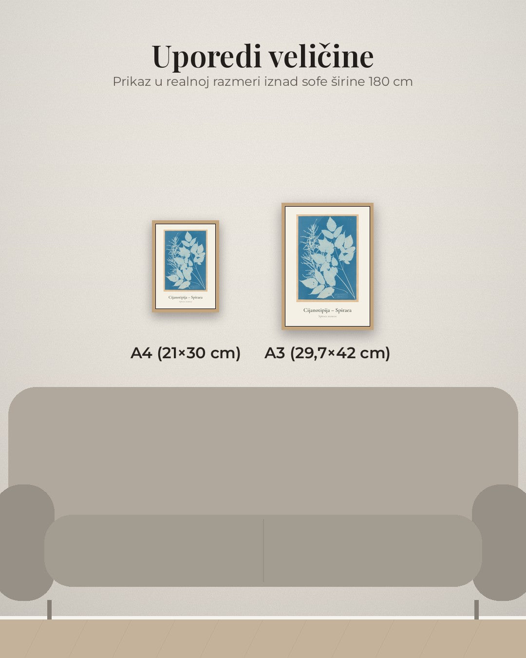 Cijanotipija – Spiraea – botanički poster – poređenje veličina A4 (21×30 cm) i A3 (29,7×42 cm)