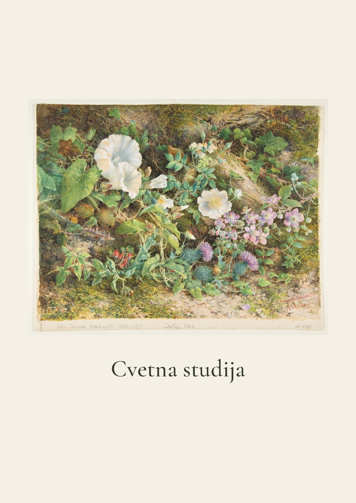 Cvetna studija – botanički poster – dizajn