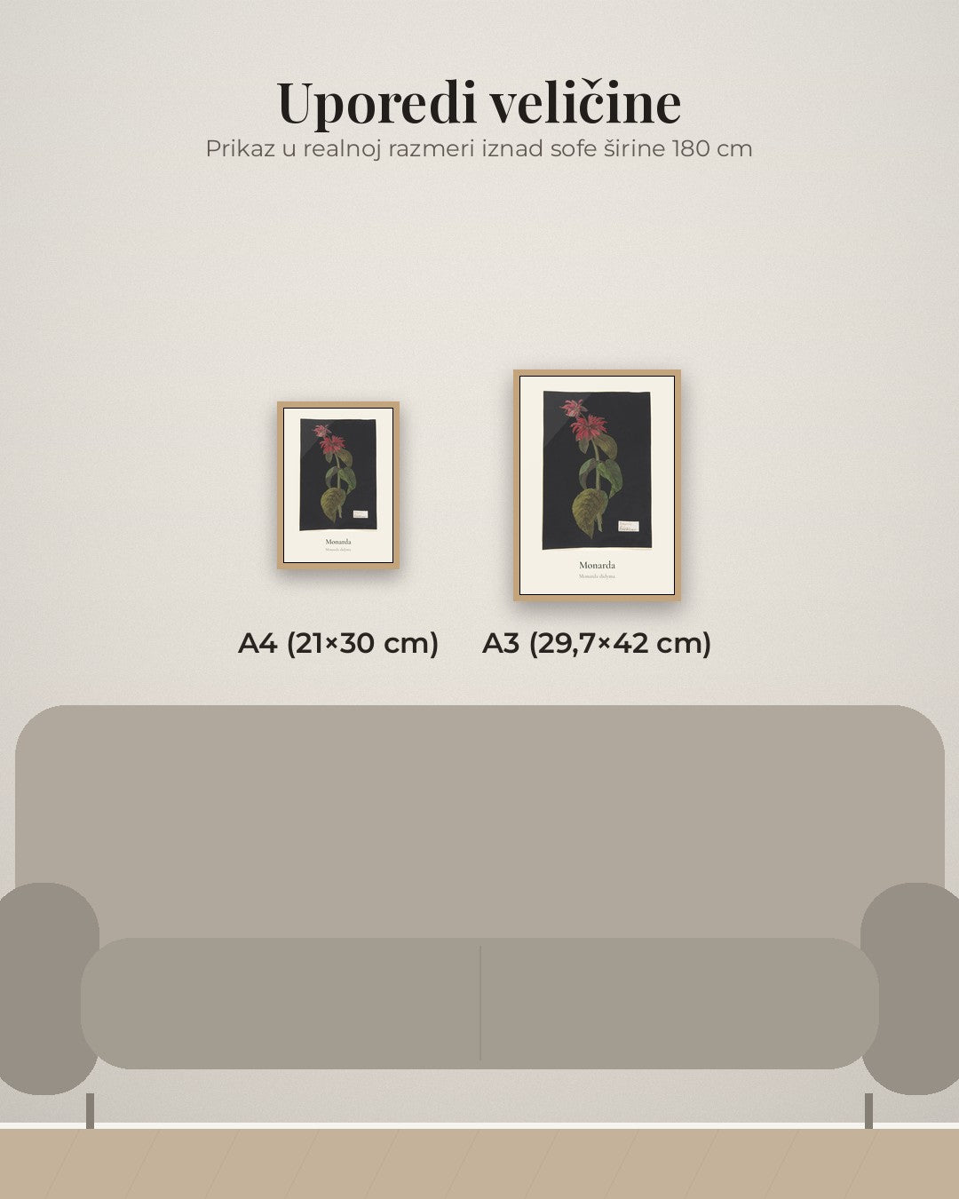 Monarda – botanički poster – poređenje veličina A4 (21×30 cm) i A3 (29,7×42 cm)