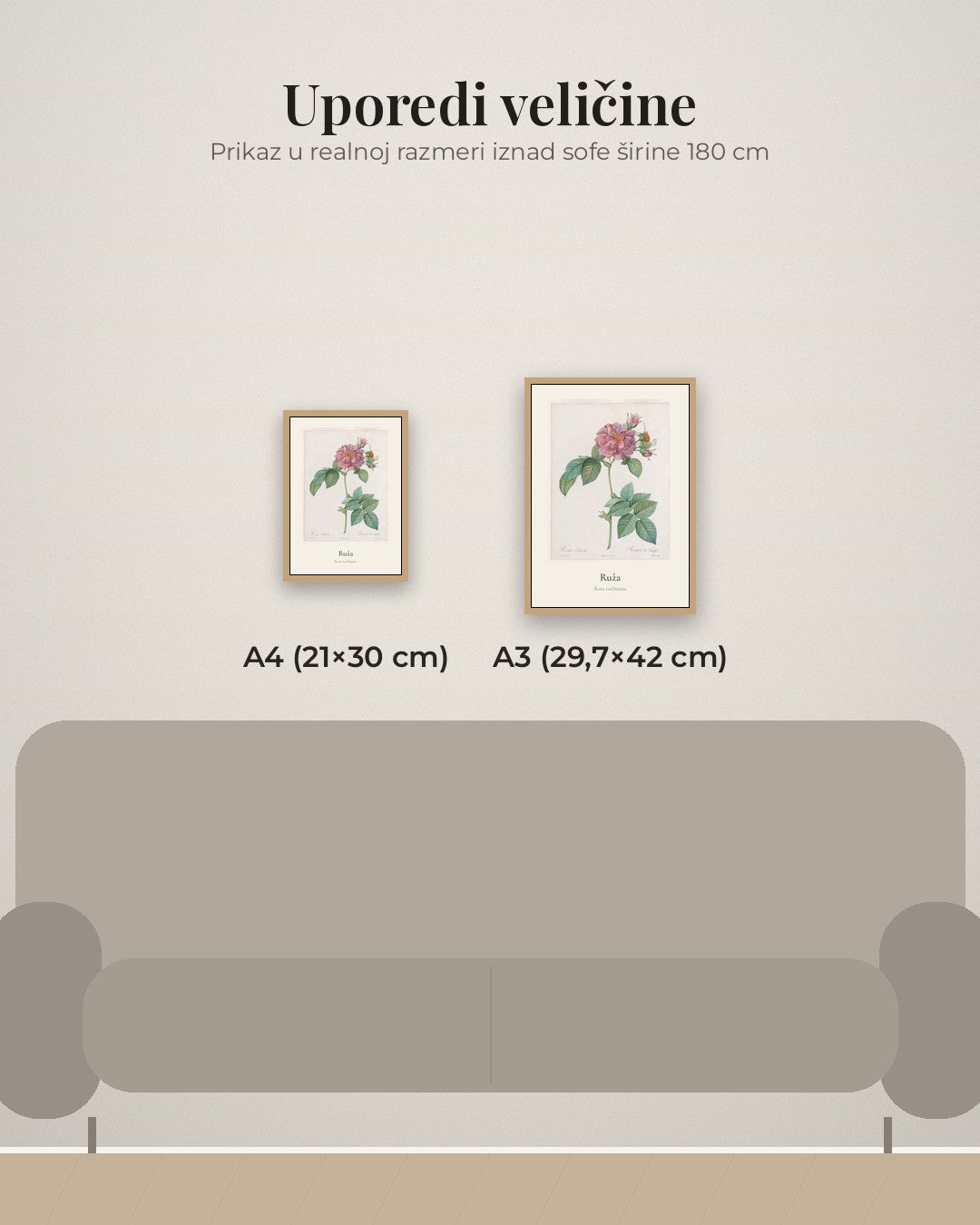 Ruža – botanički poster – poređenje veličina A4 (21×30 cm) i A3 (29,7×42 cm)